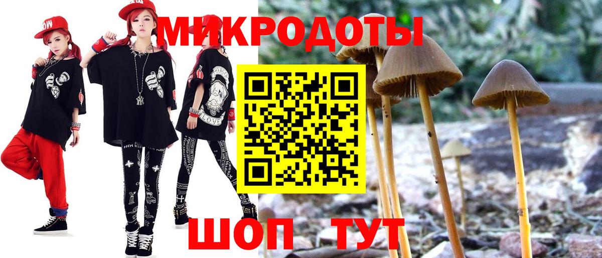 Псилоцибиновые грибы Magic Shrooms  Псилоцибиновые грибы ЛСД  Конаково  купить наркоту  Вход с VPN 