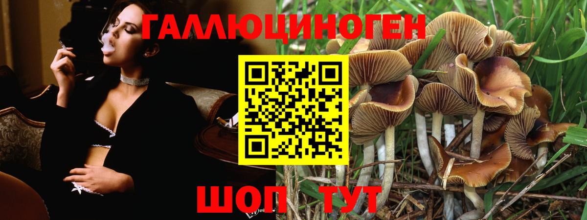Псилоцибиновые грибы ЛСД Конаково